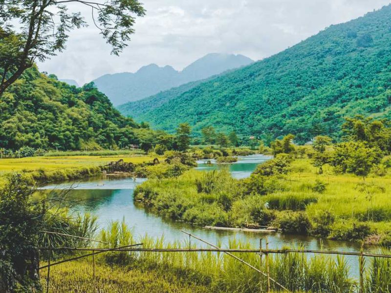 Pu Luong Nature Reserve & Ninh Binh 4 day