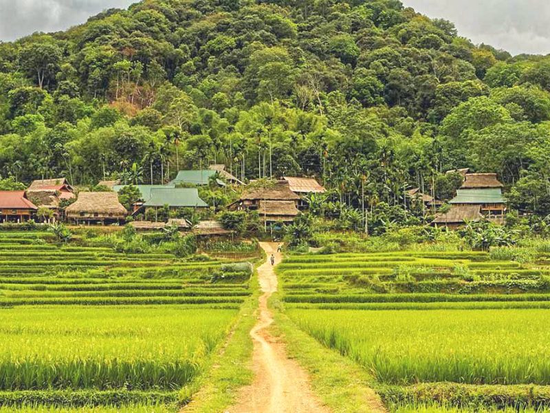 pu luong nature reserve 2 Pu Luong nature reserve