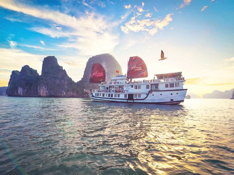 Renea Cruise in Bai tu Long Bay
