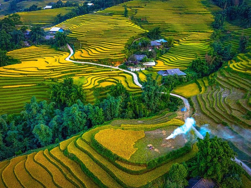 rice fields y linh ho 1 Rice fields around Y Linh Ho