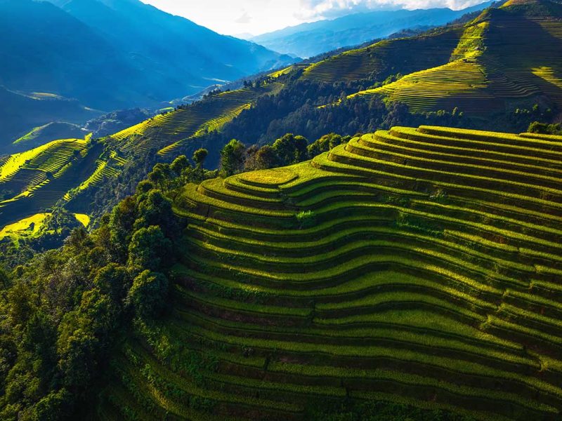 Drone aerial view of rice terrace field of La Pan Tan near Sapa, Vietnam