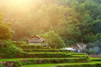 Sapa homestay between the rice fields