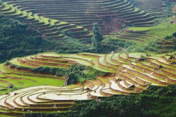 Sapa trekking