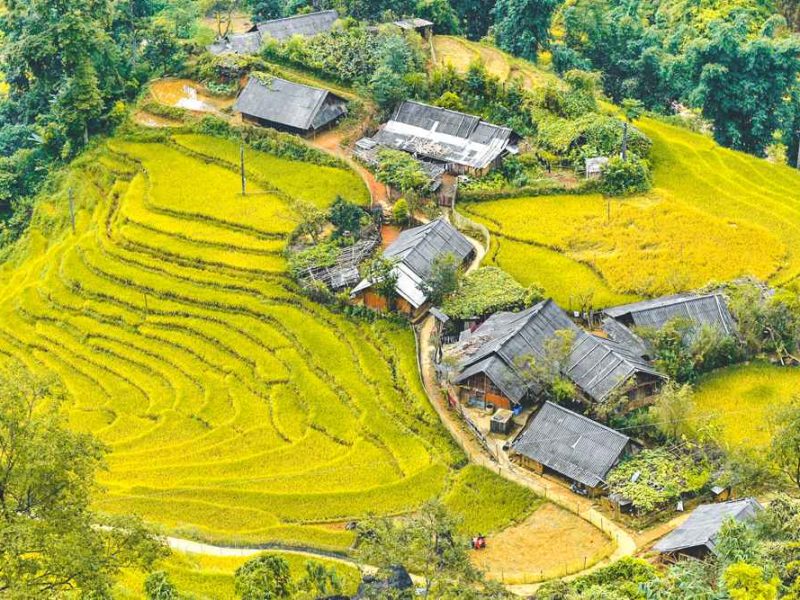 sapa trekking homestay experience 1 Sapa trekking homestay experience