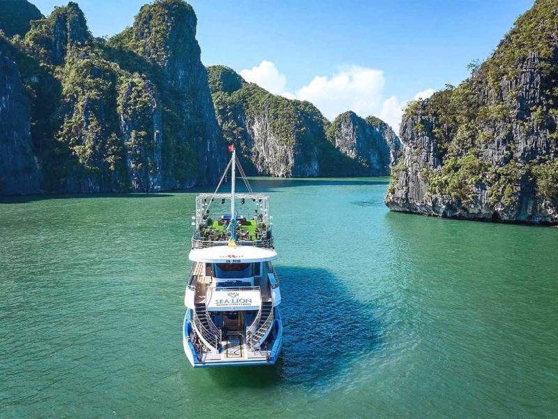 sea lion day cruise halong bay 10 Sea Lion cruise in Halong Bay day time