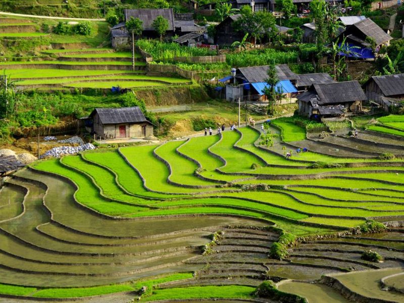 Ta Van village