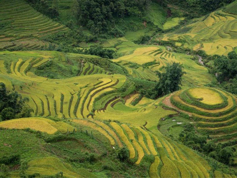 Ta Van village near Sapa
