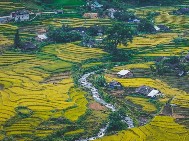 ta van village trekking Ta Van village trekking