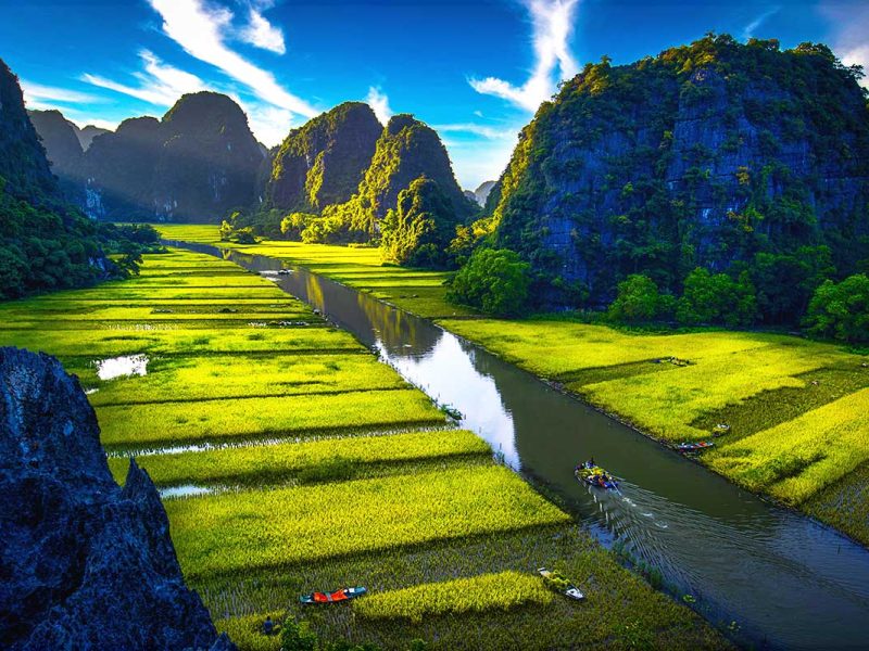 tam coc boat tour 1 A view of the stunning rice fields along the river in Tam Coc, explored during a boat tour.