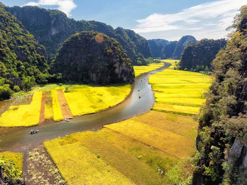 tam coc ninh binh Rice fields and river of Tam Coc