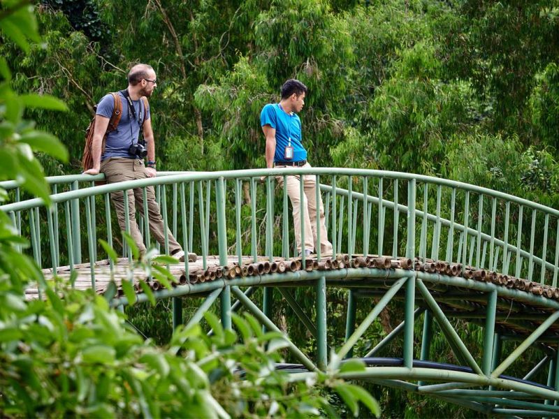 thung nham bird garden 1 Thung Nham bird garden