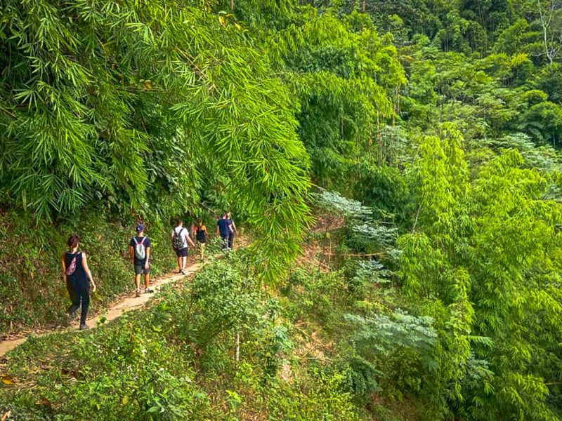 A group of tourist doing a trekking tour in Ba Be National Park