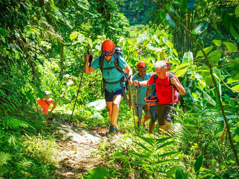 Trekking tour through the jungle of Ba Be National Park