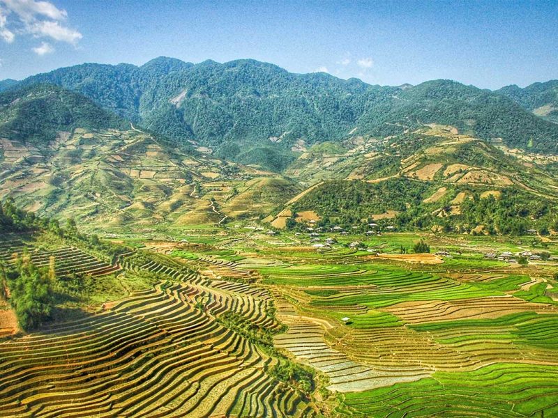 Rice fields of Tu Len district in Yen Bai province