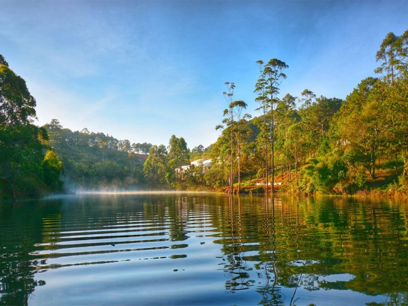 tuyen lam lake 2