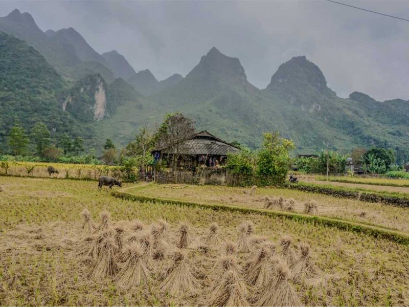 xuan truong cao bang 2 Xuan Truong in Bao Lac - Cao Bang
